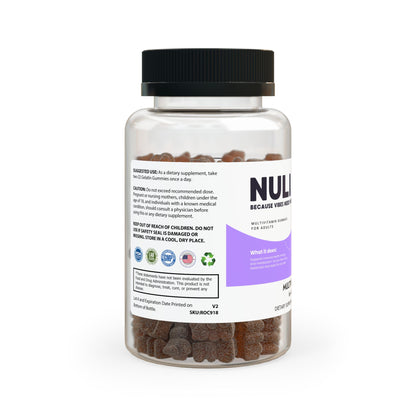 Multivitamin Gummies for Adults (60 Gummies)